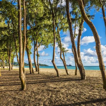 Voyage à Hawaï : Autotour en Liberté