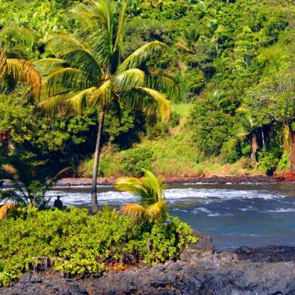 Voyage à Hawaï : Trek Accompagné