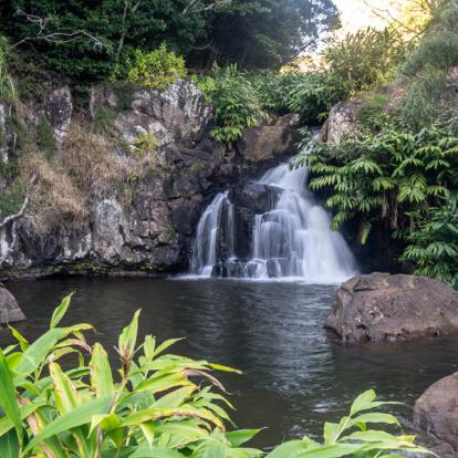 Circuit à Hawaï : Trek Accompagné