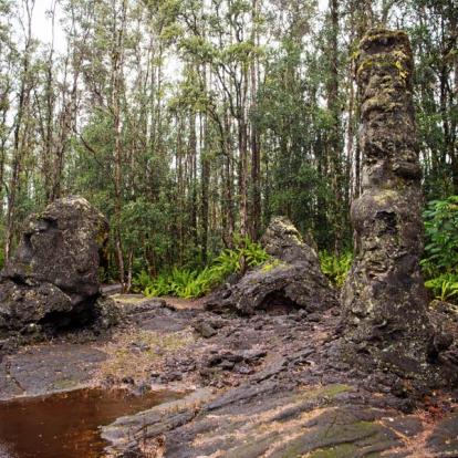 Circuit à Hawaï : Trek Accompagné