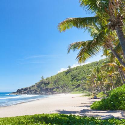 Voyage à La Réunion: La Réunion en version... Détente