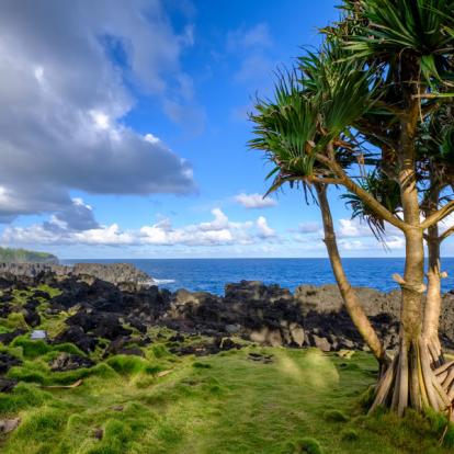 Voyage à La Réunion: La Réunion en version... Détente