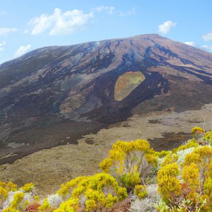 Voyage à La Réunion: La Réunion en version... Détente