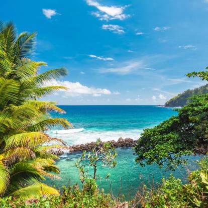 Séjour à La Réunion: La Réunion en version... Détente