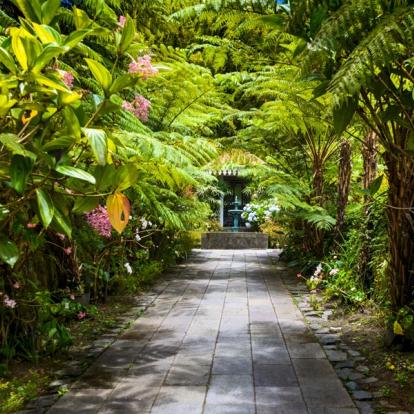 Cirque de Salazie - La Maison Folio Voyage à La Réunion: Immersion Mafataise et Pitons