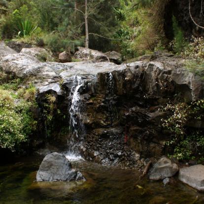 Voyage à La Réunion: Immersion Mafataise et Pitons