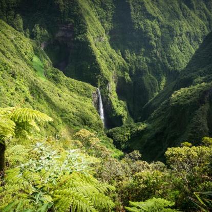 Circuit à La Réunion: Immersion Mafataise et Pitons