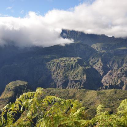 Voyage à La Réunion: Immersion Mafataise et Pitons