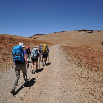 Voyage aux Iles Canaries : Balades au Cœur des Parcs Nationaux