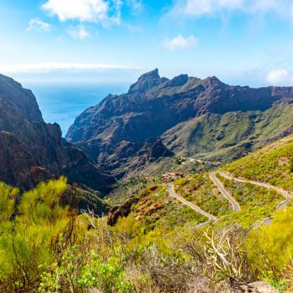 Circuit aux Iles Canaries : Balades au Cœur des Parcs Nationaux