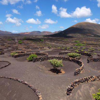 Voyage aux Iles Canaries : Balades au Cœur des Parcs Nationaux