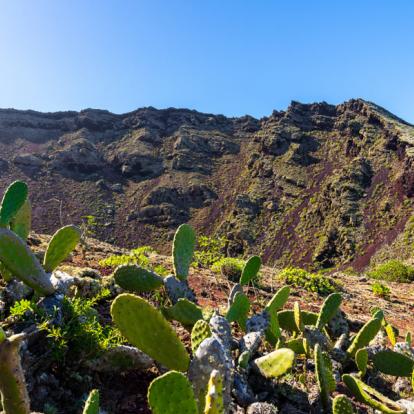 Voyage aux Iles Canaries : Balades au Cœur des Parcs Nationaux