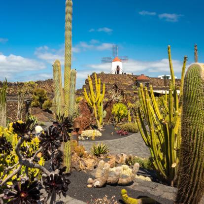 Voyage aux Iles Canaries : Séjour Actif sur Lanzarote