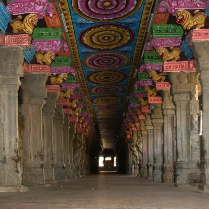 Circuit en Inde : Le Kerala Intimiste