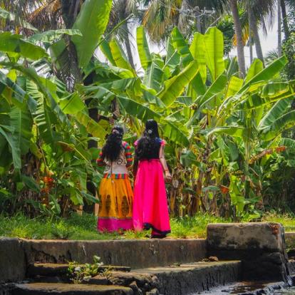Voyage en Inde : La Magie du Kerala à Vélo