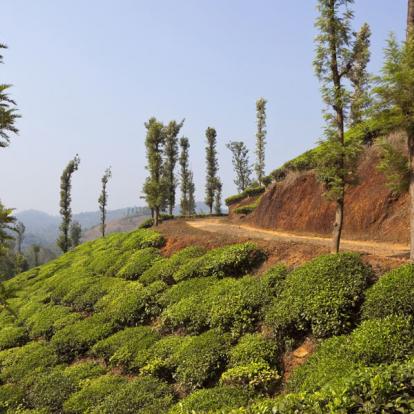 Voyage en Inde : La Magie du Kerala à Vélo