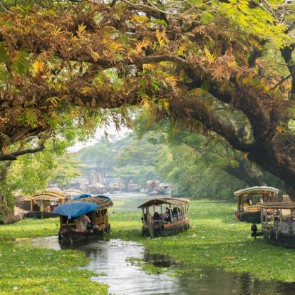 Circuit en Inde : Le Kerala Secret