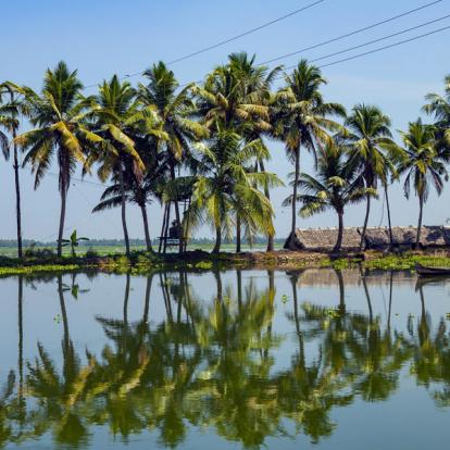 Voyage en Inde : Le Kerala Secret