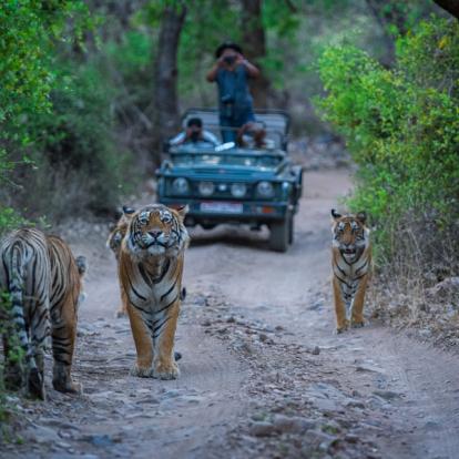 Voyage en Inde : Circuit Découverte Hors des Sentiers Battus