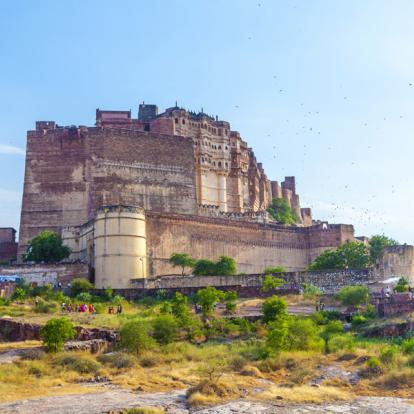 Circuit en Inde : Songes de Maharajas