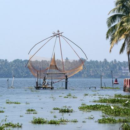 Voyage en Inde : Du Tamil Nadu au Kerala