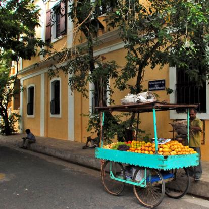 Voyage en Inde : Du Tamil Nadu au Kerala