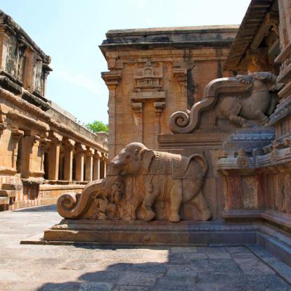 Voyage en Inde : Du Tamil Nadu au Kerala
