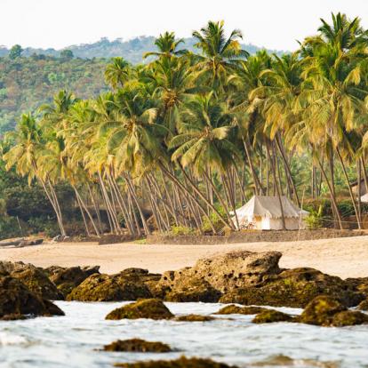 Voyage en Inde : Du Tamil Nadu au Kerala