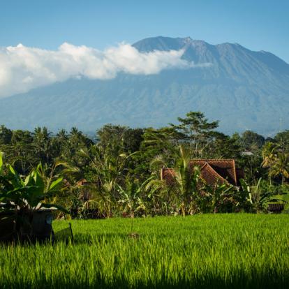 Voyage en Indonésie : Bali en Fête, Galungan et Kuningan