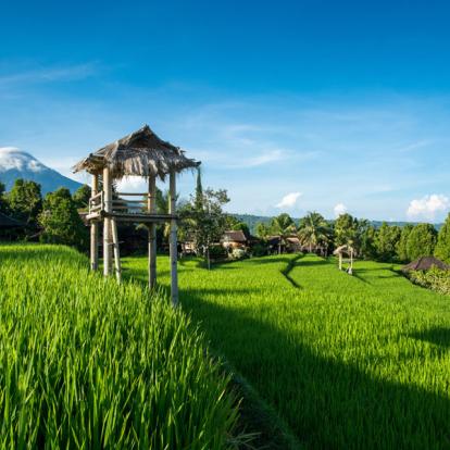 Voyage en Indonésie : Bali, l’ile aux mille saveurs