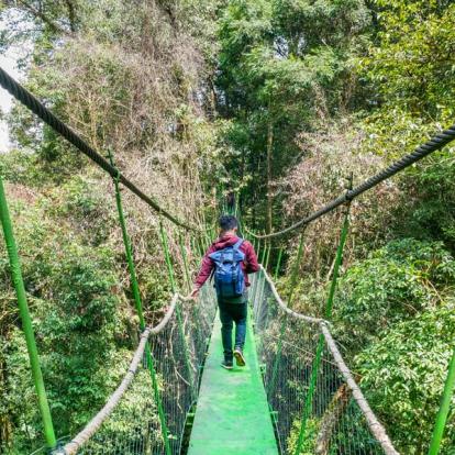 Voyage en Indonésie : Sumatra, Ourangs-Outans et Peuple Batak
