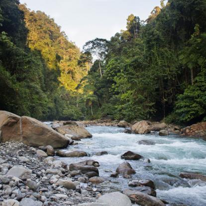 Circuit en Indonésie - Sumatra, Ourangs-Outans et Peuple Batak