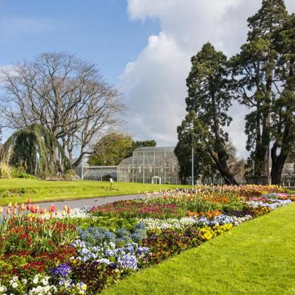 Circuit en Irlande : Etonnants Jardins D’irlande