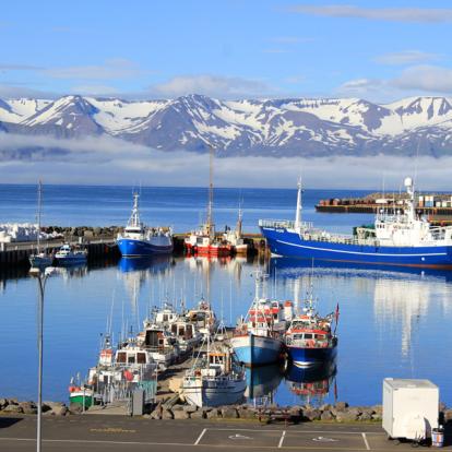 Voyage en Islande : Islande au Cœur des Eléments