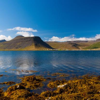 Séjour en Islande : Kayak dans les Fjords du Nord Ouest