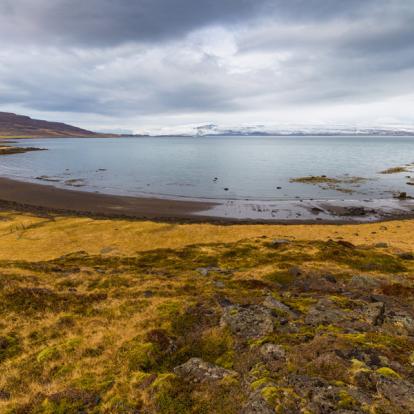 Voyage en Islande : Kayak dans les Fjords du Nord Ouest