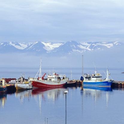 Húsavík Voyage en Islande : Les Joyaux de l'Islande