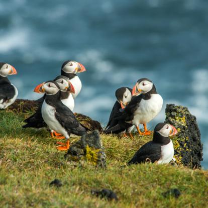 Voyage en Islande : Sur les Traces de Jules Verne