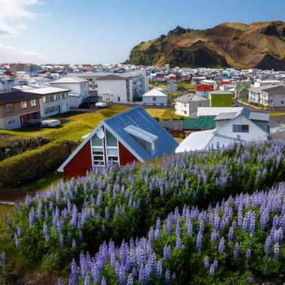 Circuit en Islande : Trek à Viknaslodir