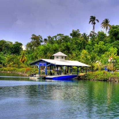 Circuit en Jamaïque : Bienvenue En Jamaïque