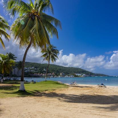 Voyage en Jamaïque : Jamaican Roots