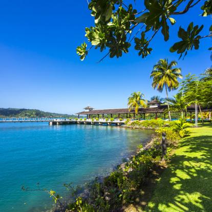 Voyage en Jamaïque : Jamaican Roots