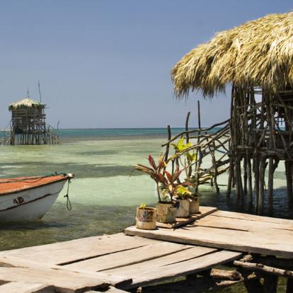 Voyage en Jamaïque : Jamaican Roots