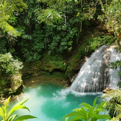 Circuit en Jamaïque : Rastaman Vibration