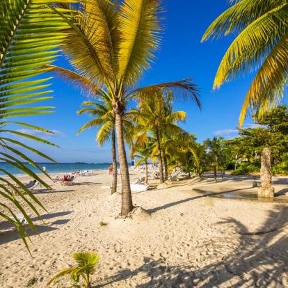 Circuit en Jamaïque : Rastaman Vibration