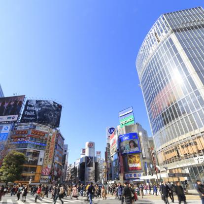 Tokyo - Shibuya Voyage au Japon : Couleurs d'Automne