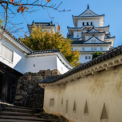 Circuit au Japon : Couleurs d'Automne