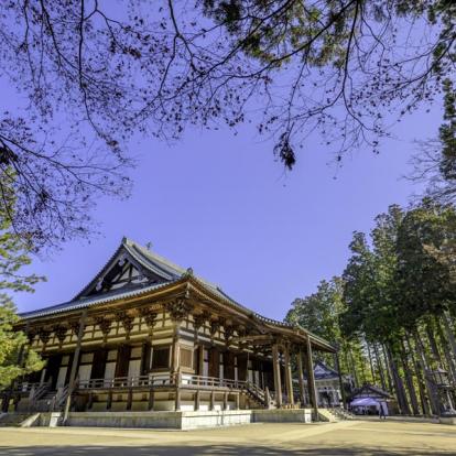 Circuit au Japon : Couleurs d'Automne