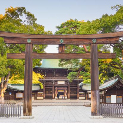 Circuit au Japon : Couleurs d'Automne