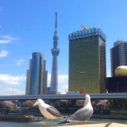 D'Asakusa à Shinjuku Visite de Tokyo : D'Asakusa à Shinjuku